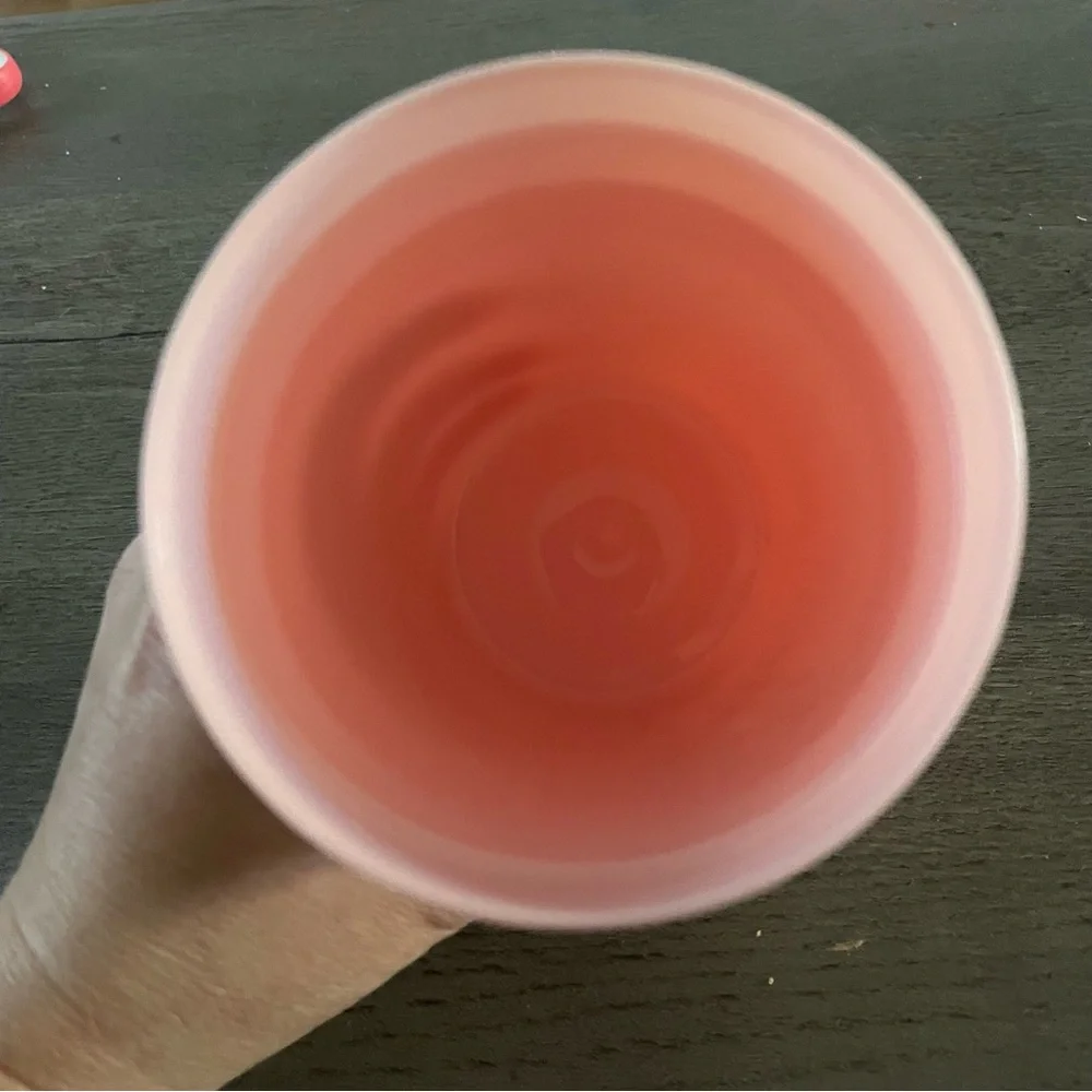NWOT Set of 3 Pink 'Team Bride' Cups
